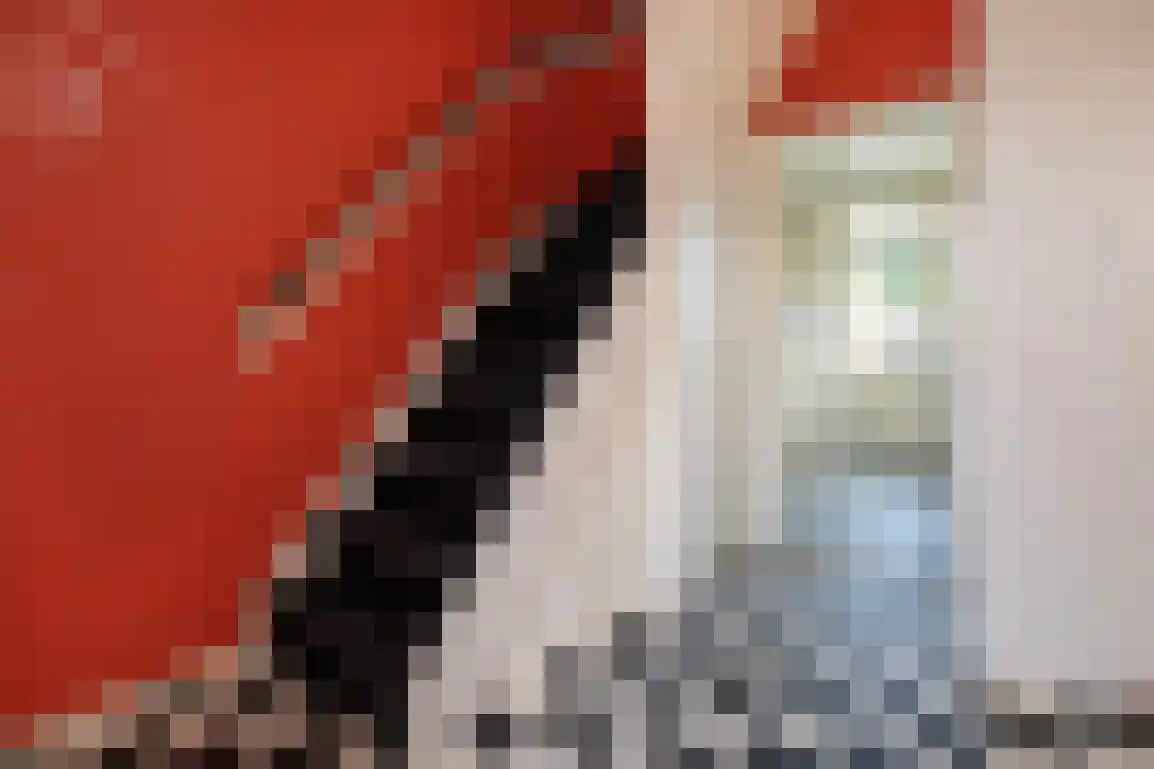 Lauwerijnstraat 13 Nieuwe-Tonge thumbnail 5