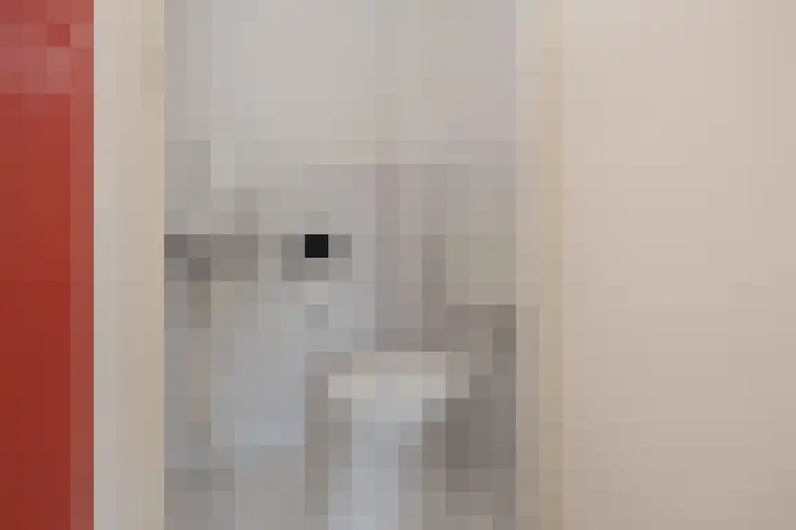 Lauwerijnstraat 13 Nieuwe-Tonge thumbnail 7