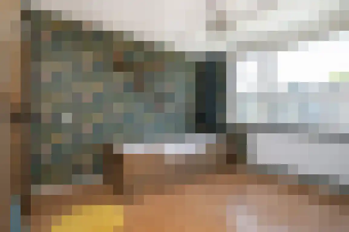 Lauwerijnstraat 16 Nieuwe-Tonge thumbnail 18
