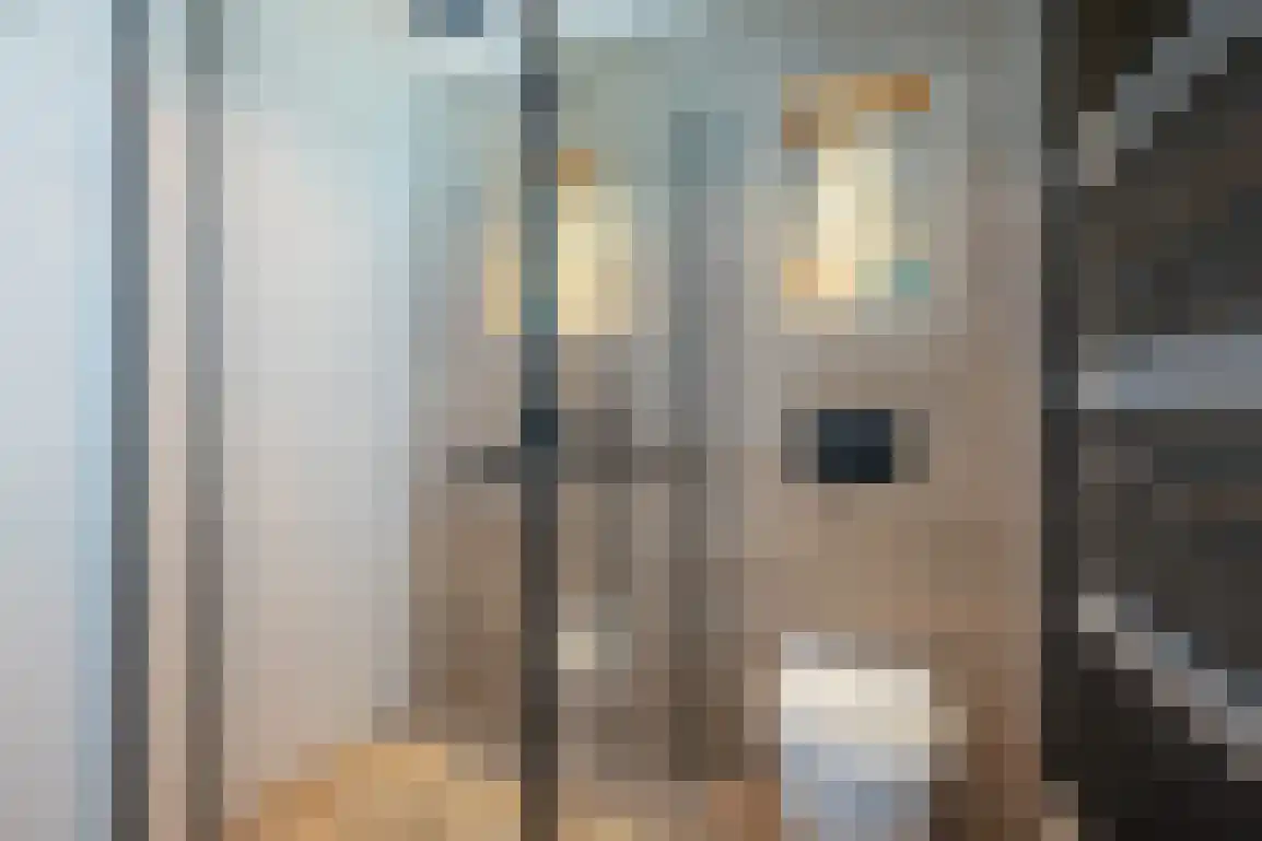 Lauwerijnstraat 16 Nieuwe-Tonge thumbnail 22