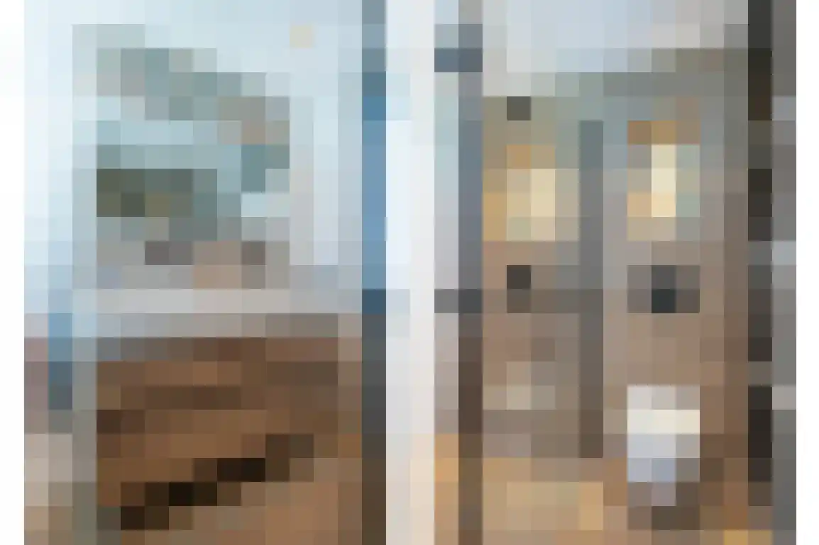 Lauwerijnstraat 16 Nieuwe-Tonge thumbnail 24