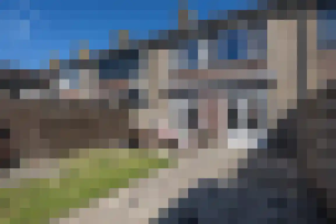 Lauwerijnstraat 16 Nieuwe-Tonge thumbnail 33