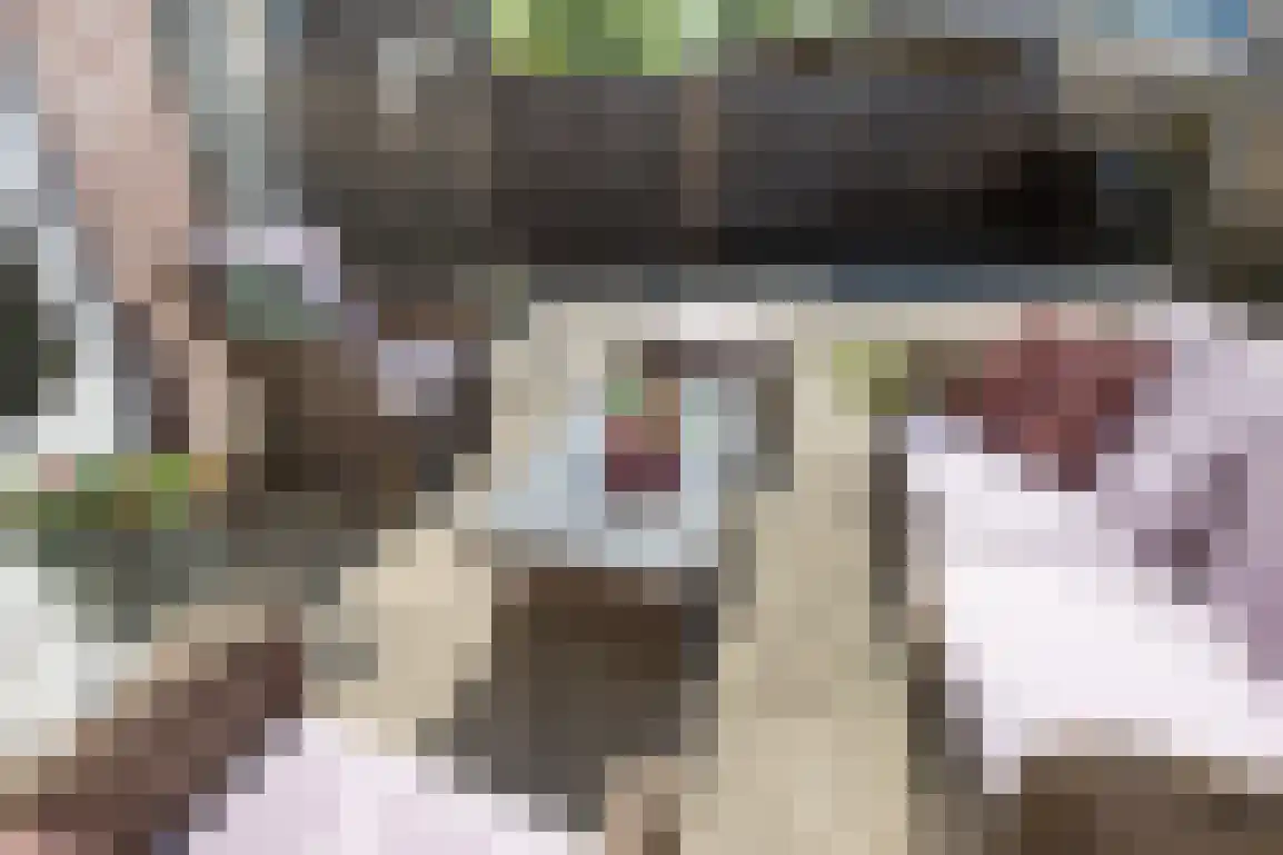 Lauwerijnstraat 16 Nieuwe-Tonge thumbnail 35