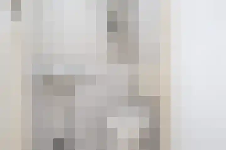 Lauwerijnstraat 17 Nieuwe-Tonge thumbnail 10