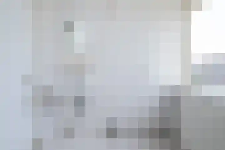 Lauwerijnstraat 17 Nieuwe-Tonge thumbnail 15