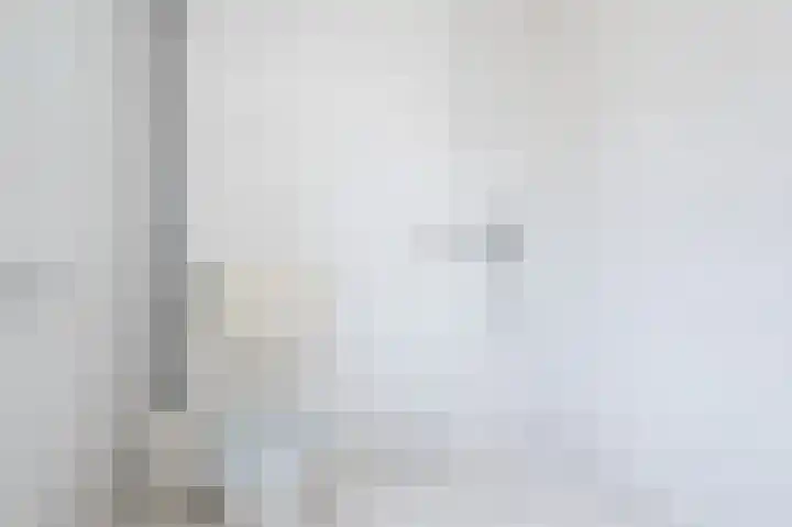 Lauwerijnstraat 17 Nieuwe-Tonge thumbnail 17
