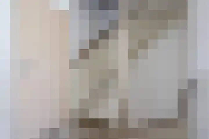 Lauwerijnstraat 17 Nieuwe-Tonge thumbnail 18