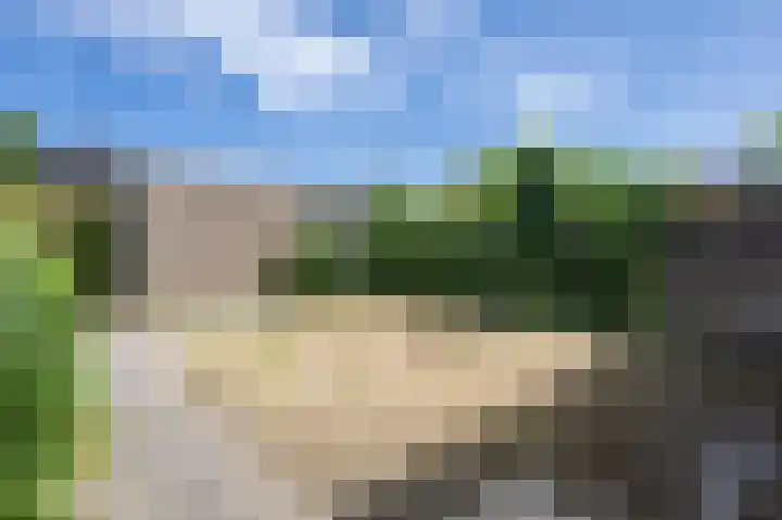 Lauwerijnstraat 17 Nieuwe-Tonge thumbnail 21