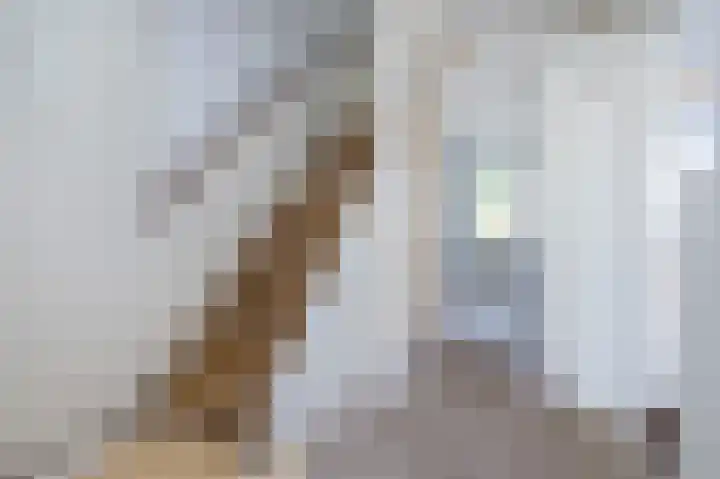 Lauwerijnstraat 17 Nieuwe-Tonge thumbnail 6