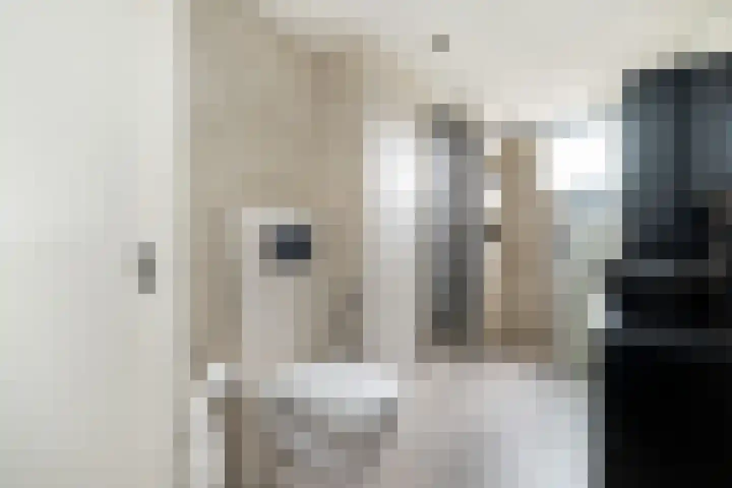 Lauwerijnstraat 26 Nieuwe-Tonge thumbnail 22