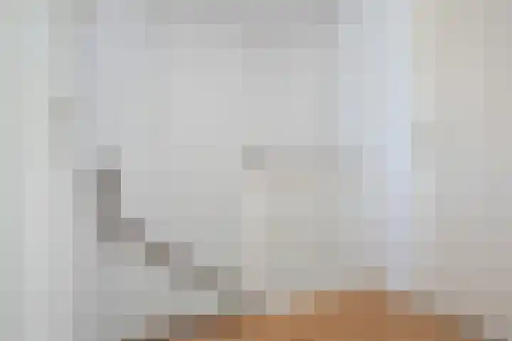Lauwerijnstraat 3 Nieuwe-Tonge thumbnail 12