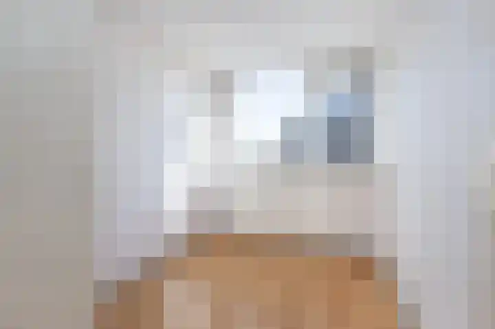 Lauwerijnstraat 3 Nieuwe-Tonge thumbnail 13