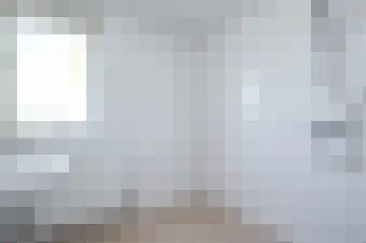 Lauwerijnstraat 3 Nieuwe-Tonge thumbnail 17