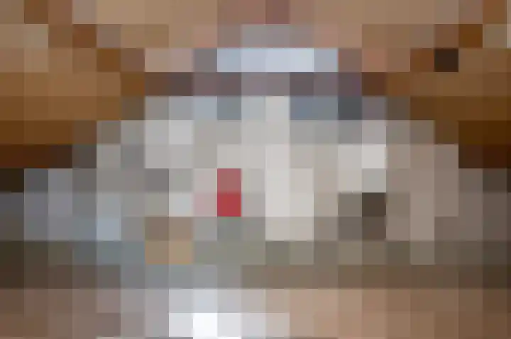 Lauwerijnstraat 3 Nieuwe-Tonge thumbnail 21