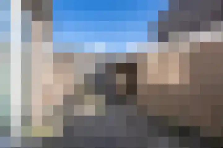 Lauwerijnstraat 3 Nieuwe-Tonge thumbnail 24