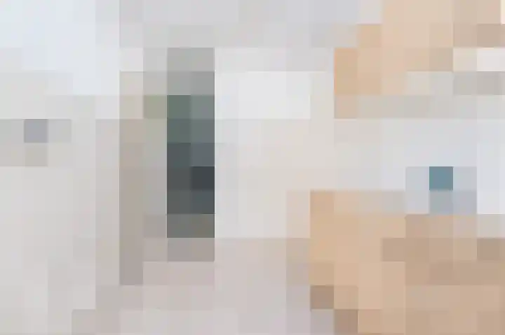 Lauwerijnstraat 3 Nieuwe-Tonge thumbnail 8