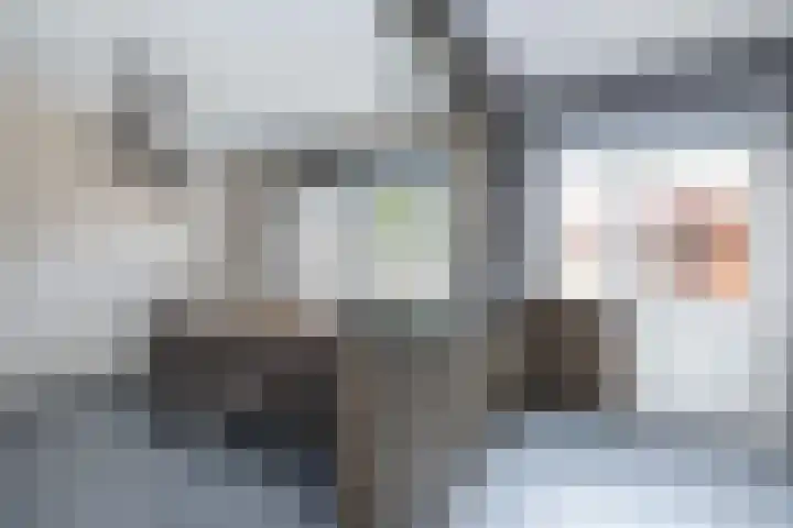Lauwerijnstraat 33 Nieuwe-Tonge thumbnail 10