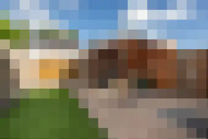 Lauwerijnstraat 33 Nieuwe-Tonge thumbnail 19