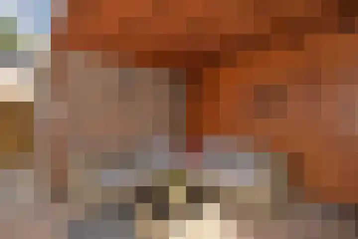 Lauwerijnstraat 33 Nieuwe-Tonge thumbnail 20