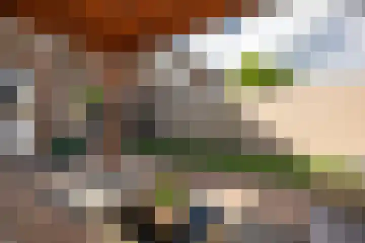 Lauwerijnstraat 33 Nieuwe-Tonge thumbnail 21