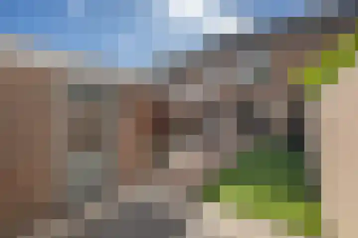 Lauwerijnstraat 33 Nieuwe-Tonge thumbnail 23
