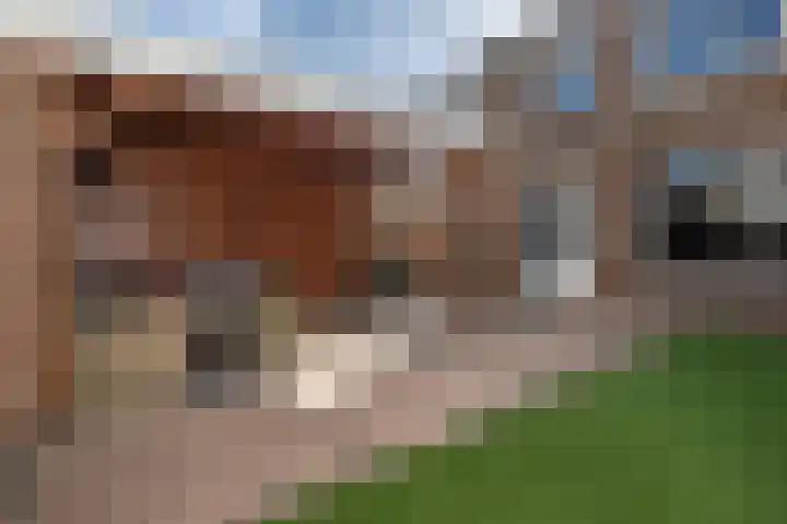 Lauwerijnstraat 33 Nieuwe-Tonge thumbnail 24
