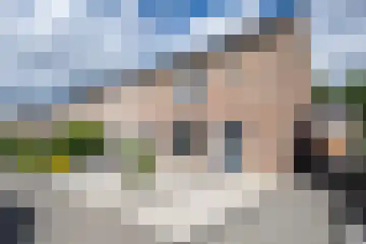 Lauwerijnstraat 33 Nieuwe-Tonge thumbnail 25
