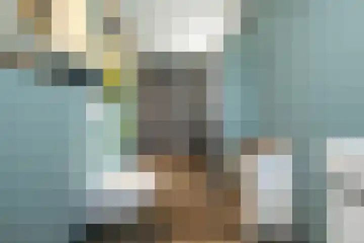 Lauwerijnstraat 36 Nieuwe-Tonge thumbnail 20