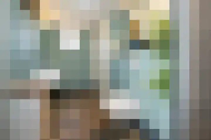 Lauwerijnstraat 36 Nieuwe-Tonge thumbnail 21