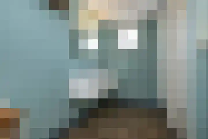 Lauwerijnstraat 36 Nieuwe-Tonge thumbnail 22