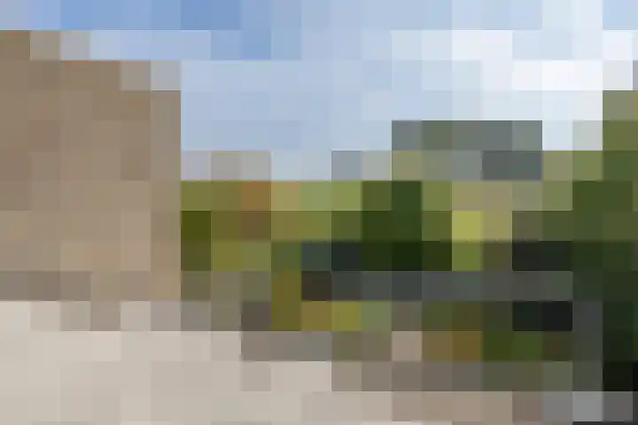 Lauwerijnstraat 36 Nieuwe-Tonge thumbnail 23