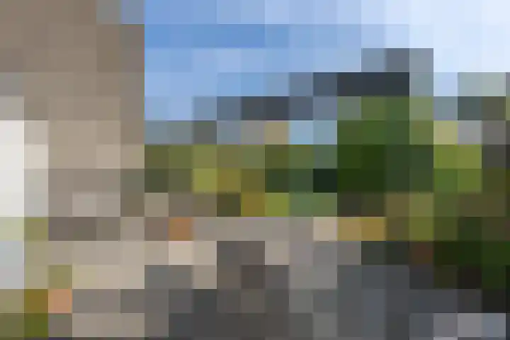 Lauwerijnstraat 36 Nieuwe-Tonge thumbnail 24