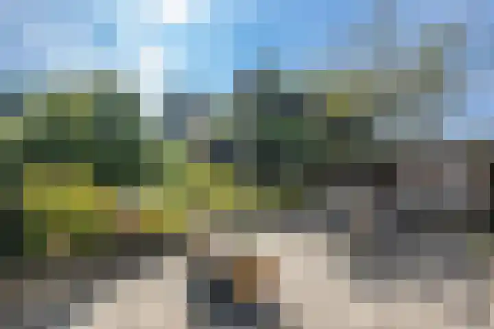 Lauwerijnstraat 36 Nieuwe-Tonge thumbnail 25