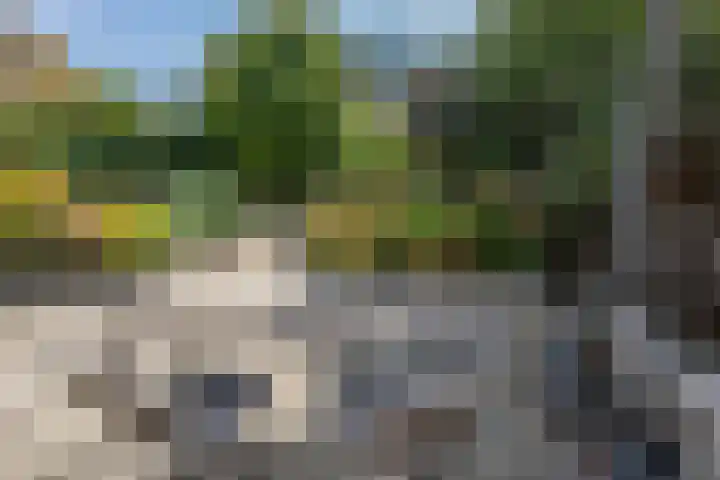 Lauwerijnstraat 36 Nieuwe-Tonge thumbnail 26
