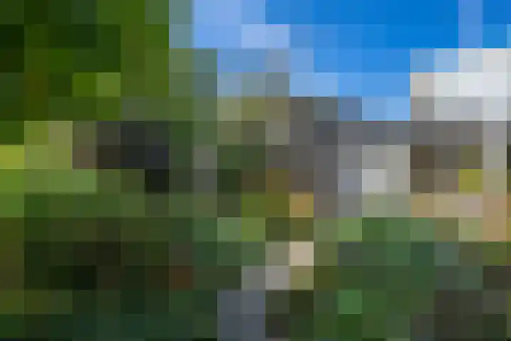 Lauwerijnstraat 36 Nieuwe-Tonge thumbnail 28