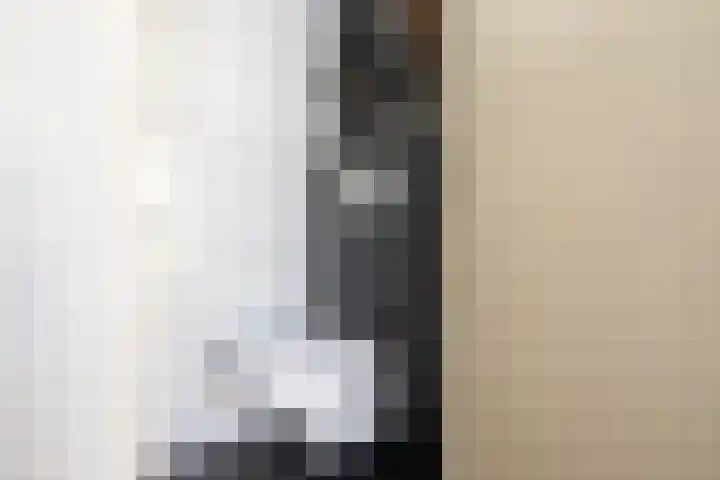 Lauwerijnstraat 36 Nieuwe-Tonge thumbnail 6