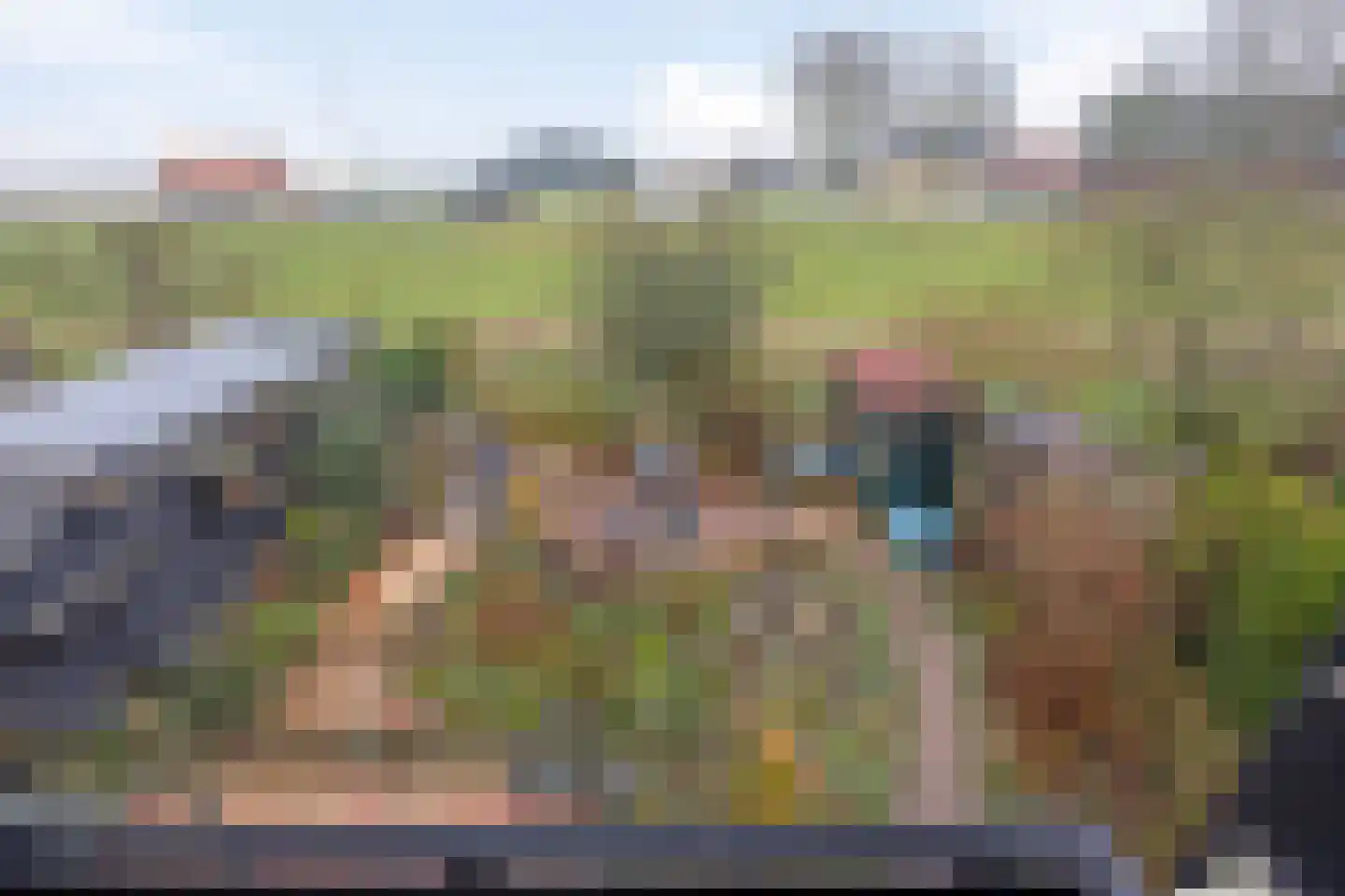 Lauwerijnstraat 40 Nieuwe-Tonge thumbnail 24