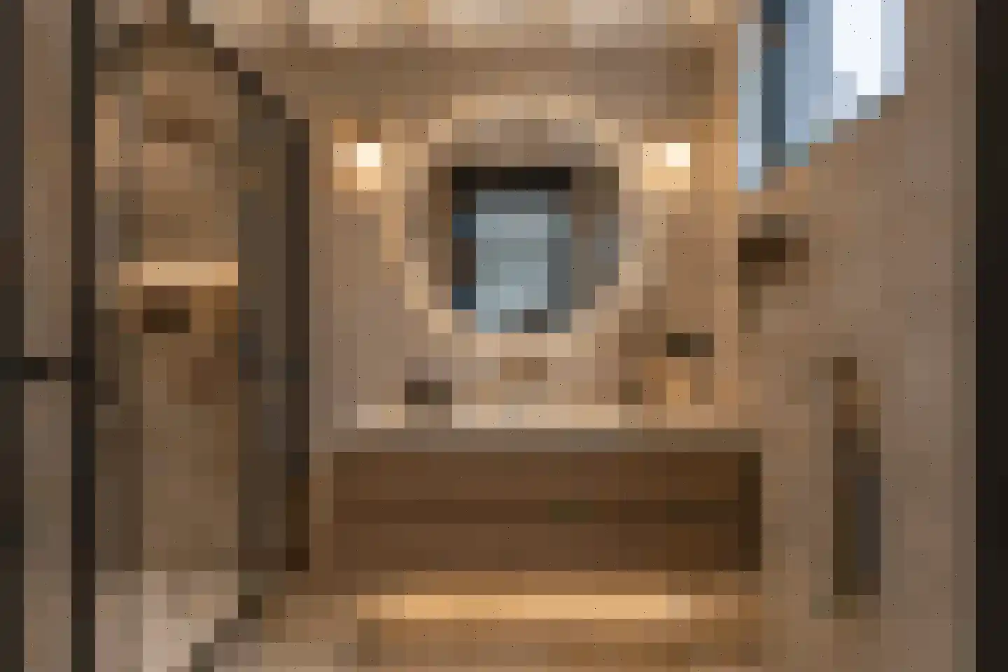 Lauwerijnstraat 40 Nieuwe-Tonge thumbnail 24