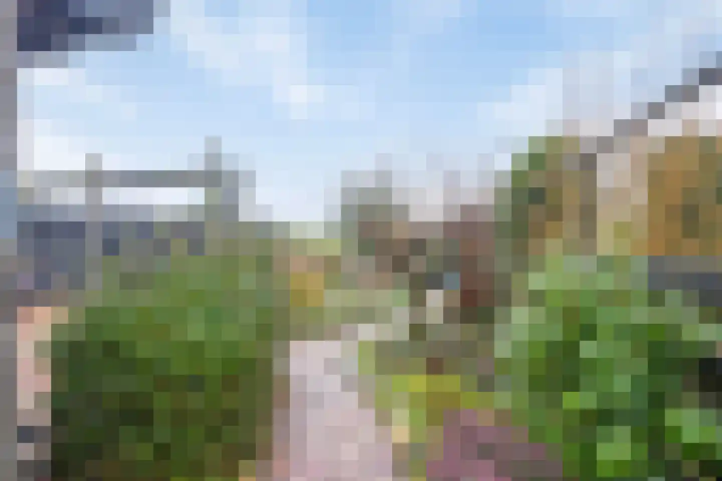Lauwerijnstraat 40 Nieuwe-Tonge thumbnail 31