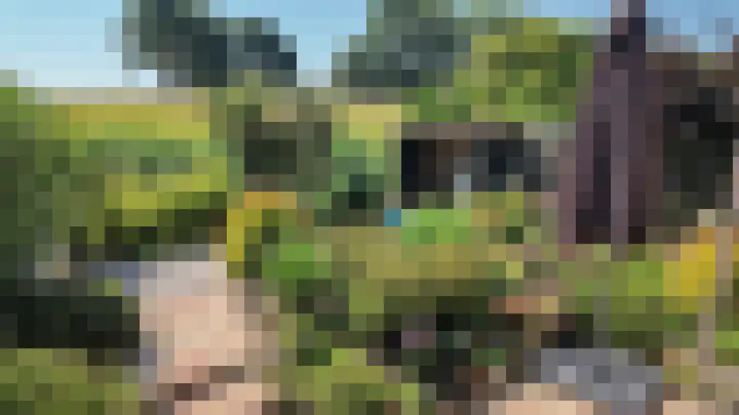 Lauwerijnstraat 40 Nieuwe-Tonge thumbnail 32
