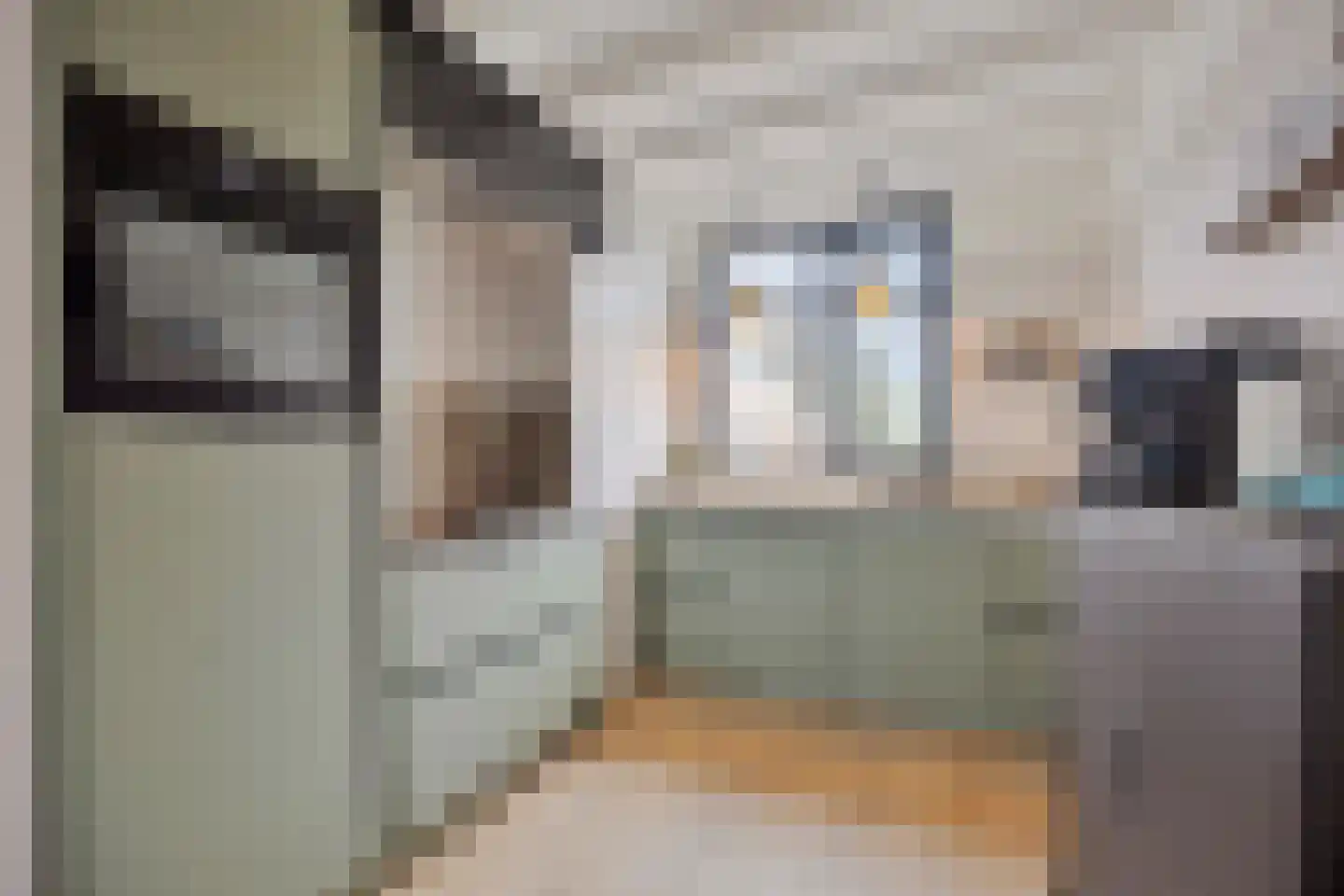 Lauwerijnstraat 40 Nieuwe-Tonge thumbnail 4