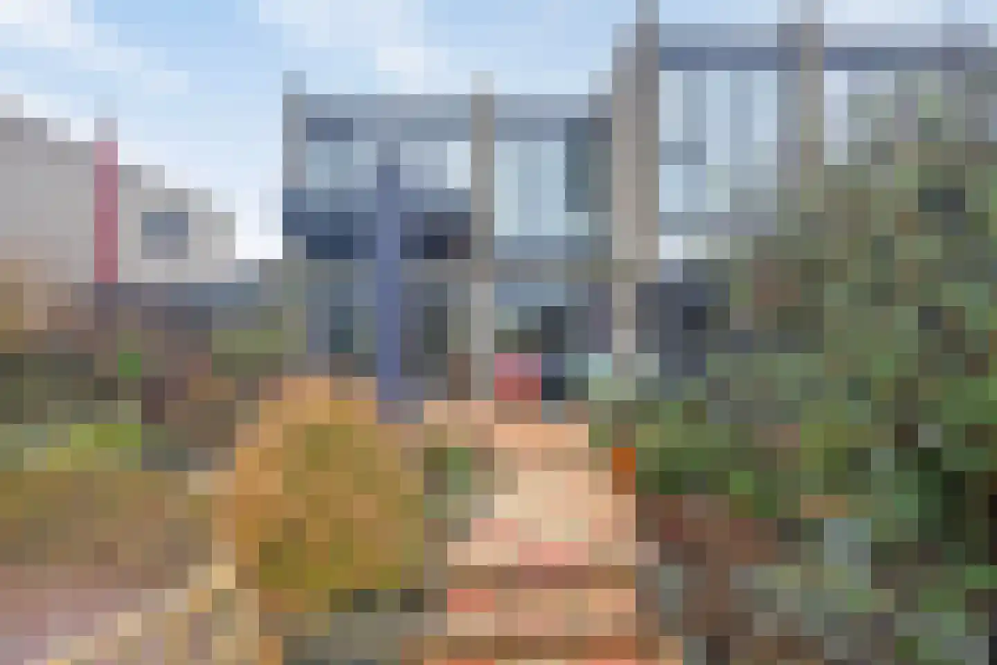 Lauwerijnstraat 40 Nieuwe-Tonge thumbnail 6