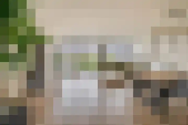Lauwerijnstraat 50 Nieuwe-Tonge thumbnail 10