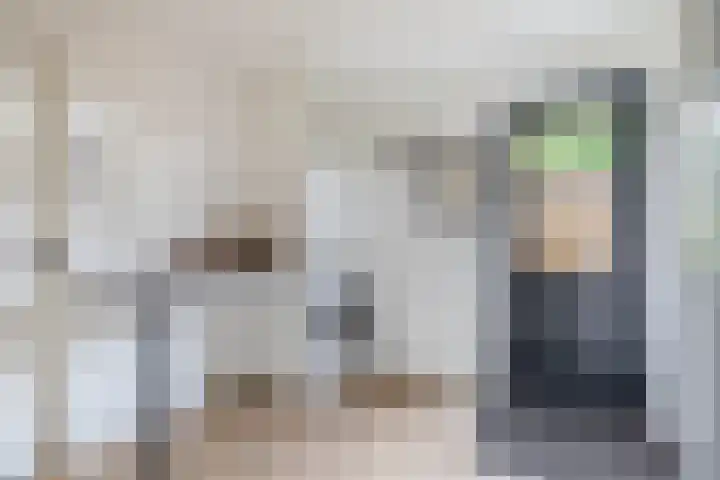 Lauwerijnstraat 50 Nieuwe-Tonge thumbnail 17