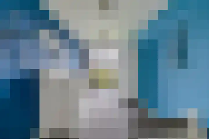 Lauwerijnstraat 50 Nieuwe-Tonge thumbnail 25