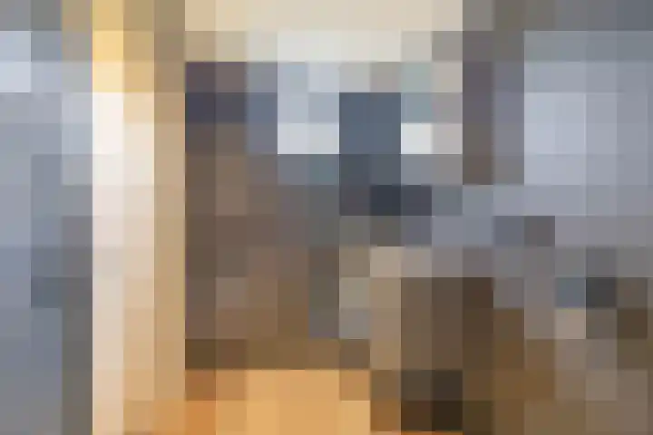 Lauwerijnstraat 50 Nieuwe-Tonge thumbnail 31