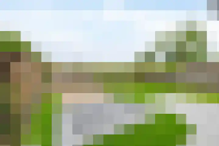 Lauwerijnstraat 50 Nieuwe-Tonge thumbnail 32