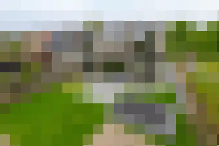 Lauwerijnstraat 50 Nieuwe-Tonge thumbnail 34