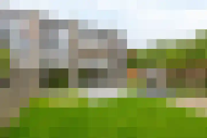 Lauwerijnstraat 50 Nieuwe-Tonge thumbnail 35