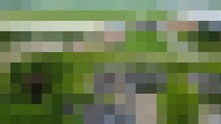 Lauwerijnstraat 50 Nieuwe-Tonge thumbnail 37